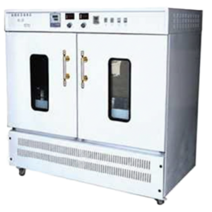 BS-2F